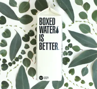 the design of a drink package with the caption 'boxed water is better'